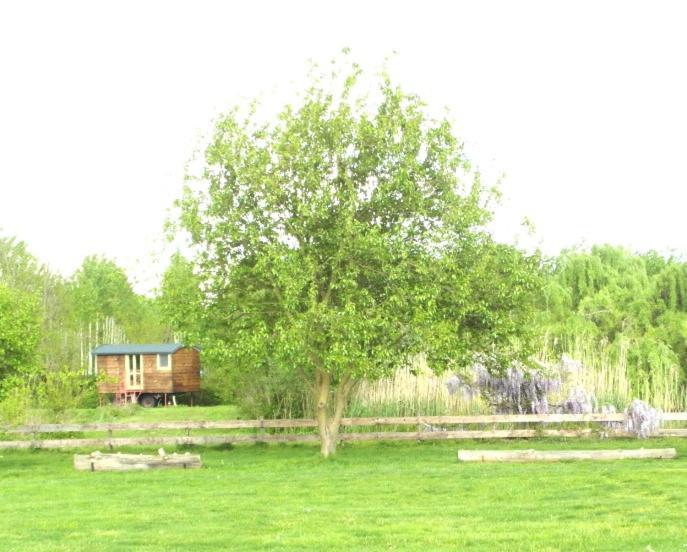 Casetta Sul Lago Albairate Esterno foto